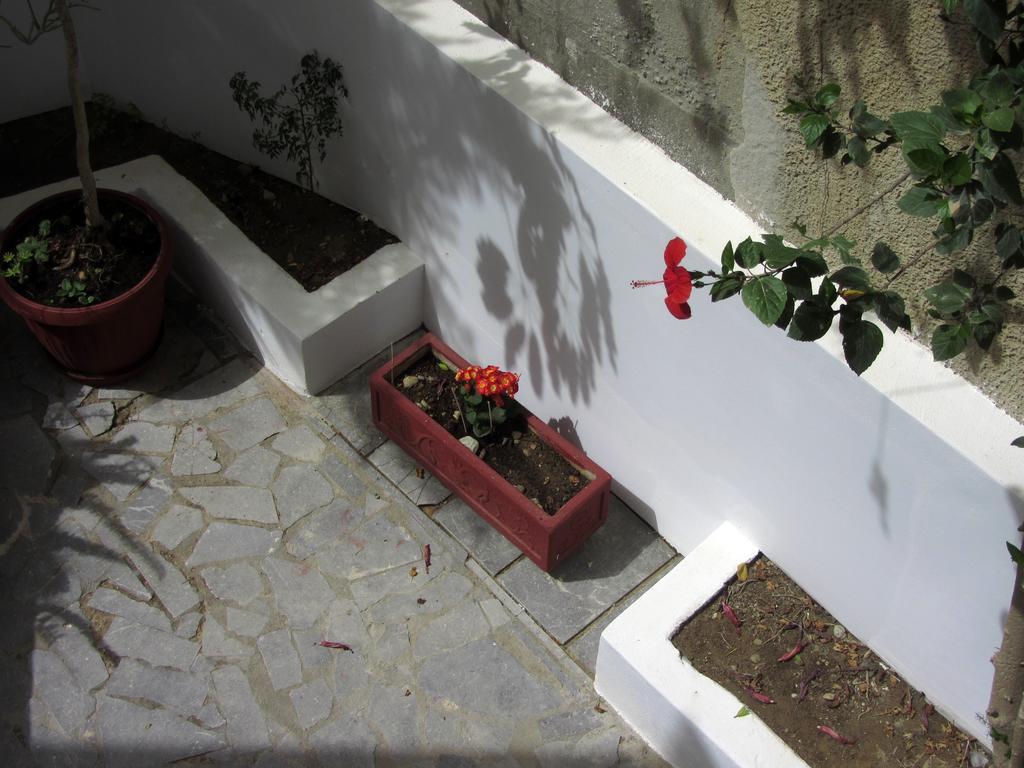 Petra Hotel Ajía Galíni Kültér fotó